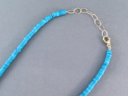 Pilar Lovato 14kt Gold & Sleeping Beauty Turquoise Necklace