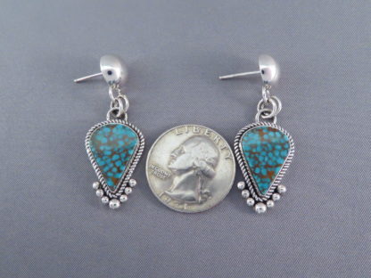 Mineral Park Turquoise & Sterling Silver Earrings