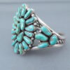 Fox Turquoise Cluster Bracelet