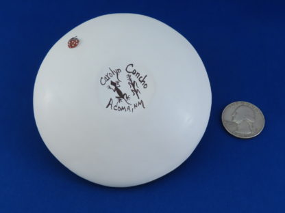 Larger Acoma Seed Pot with Lizard – Acoma Pottery by Carolyn Concho
