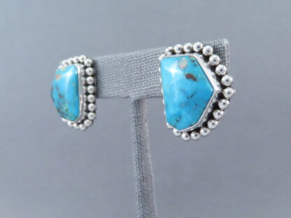 Artie Yellowhorse Earrings with Fox Turquoise