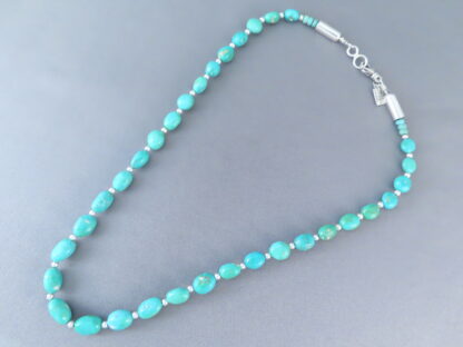 Single Strand Turquoise Necklace (Sonoran Gold Turquoise)