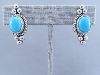 Sleeping Beauty Turquoise Earrings