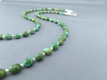 Long Sonoran Turquoise Necklace by Desiree Yellowhorse
