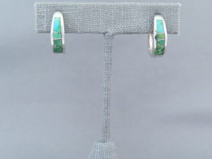 Turquoise Inlay Earrings (Sonoran Gold Turquoise)