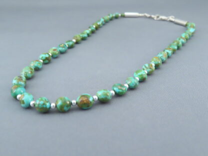 Desiree Yellowhorse Necklace – Sonoran Gold Turquoise