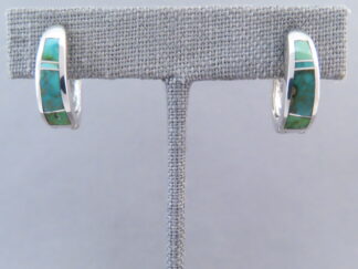 Turquoise Inlay Earrings (Sonoran Gold Turquoise)
